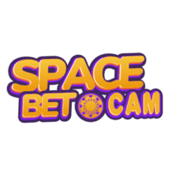 history of sudoku game
